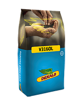 Pose med V316OL